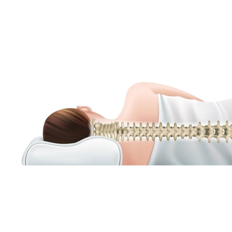 Almofada Viscoelástica Aloe Vera